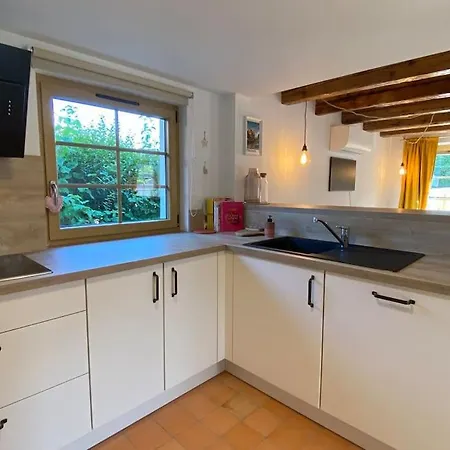 Maison De Charme De 1850 - - Neudorf Strasburgo