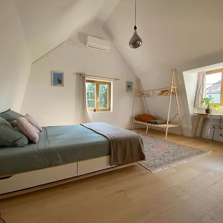 Maison De Charme De 1850 - - Neudorf