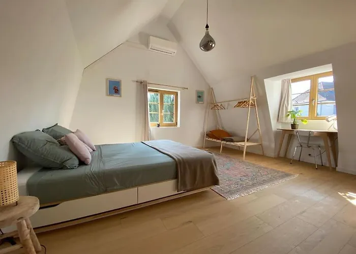 Maison De Charme De 1850 - - Neudorf