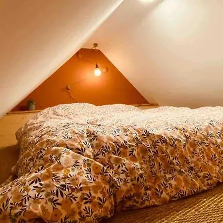 Maison De Charme De 1850 - - Neudorf Strasbourg