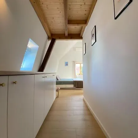 Maison De Charme De 1850 - - Neudorf Strasbourg