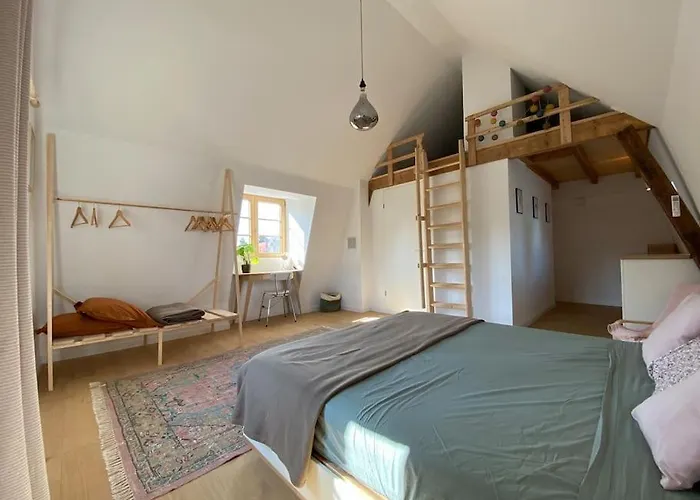 Ferienhaus Maison De Charme De 1850 - - Neudorf Straßburg